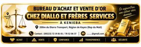 Diallo et Frères Services